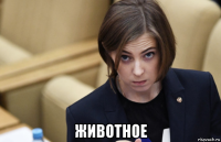  животное