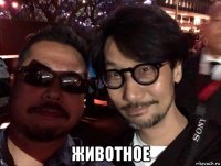 животное