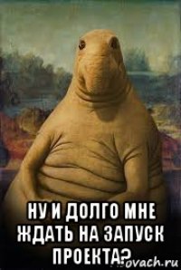  ну и долго мне ждать на запуск проекта?