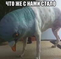 что же с нами стало 