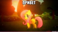 привет 
