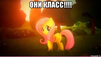 они класс!!!! 