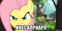  инесапрнарп