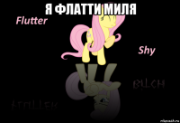 я флатти миля 