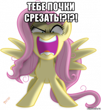 тебе почки срезать!?!?! 