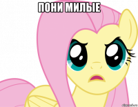 пони милые 