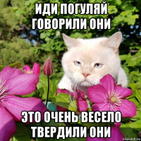 иди погуляй говорили они это очень весело твердили они