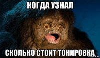 когда узнал сколько стоит тонировка