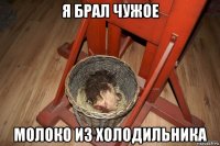 я брал чужое молоко из холодильника