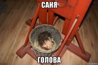 саня голова
