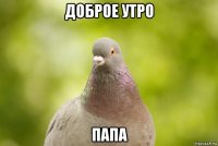 доброе утро папа