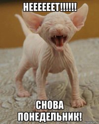 неееееет!!!!!! снова понедельник!