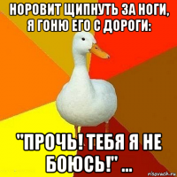 норовит щипнуть за ноги, я гоню его с дороги: "прочь! тебя я не боюсь!" ...