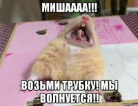 мишаааа!!! возьми трубку! мы волнуется!!