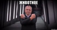 животное 