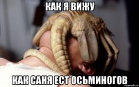 как я вижу как саня ест осьминогов