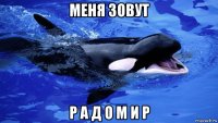 меня зовут р а д о м и р