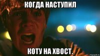 когда наступил коту на хвост.