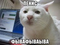пенис фывафываыва