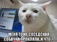  меня тоже соседская собачка прокляла..и что ?