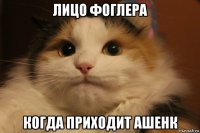лицо фоглера когда приходит ашенк