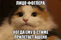 лицо фоглера когда ему в стиме прилетает ашенк