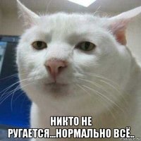  никто не ругается...нормально всё..