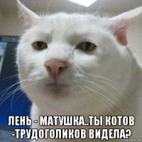  лень - матушка..ты котов -трудоголиков видела?