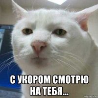  с укором смотрю на тебя...