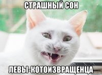 страшный сон левы-котоизвращенца