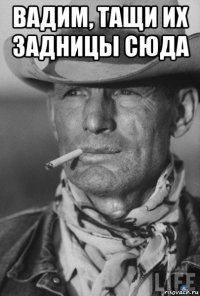 вадим, тащи их задницы сюда 