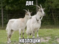 две козлэцки