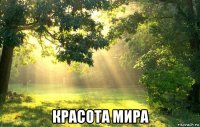  красота мира