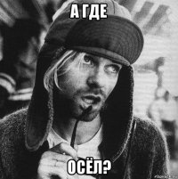 а где осёл?