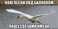 пою песни под балконом пишу свечами имена