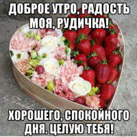 доброе утро, радость моя, рудичка! хорошего, спокойного дня. целую тебя!