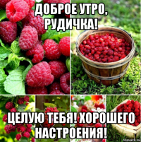 доброе утро, рудичка! целую тебя! хорошего настроения!
