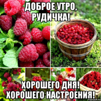 доброе утро, рудичка! хорошего дня! хорошего настроения!