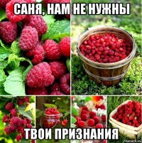 саня, нам не нужны твои признания