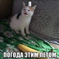 я погода этим летом