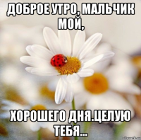 доброе утро, мальчик мой, хорошего дня.целую тебя...