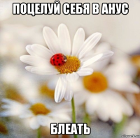 поцелуй себя в анус блеать
