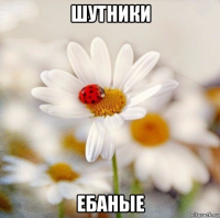 шутники ебаные