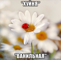 "хуйня" "ванильная"