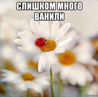 слишком много ванили 