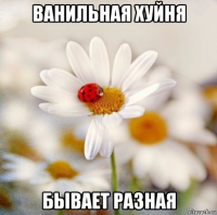 ванильная хуйня бывает разная