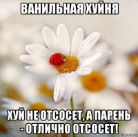 ванильная хуйня хуй не отсосет, а парень - отлично отсосет!