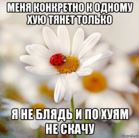 меня конкретно к одному хую тянет только я не блядь и по хуям не скачу