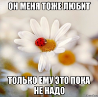 он меня тоже любит только ему это пока не надо