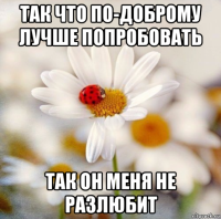 так что по-доброму лучше попробовать так он меня не разлюбит